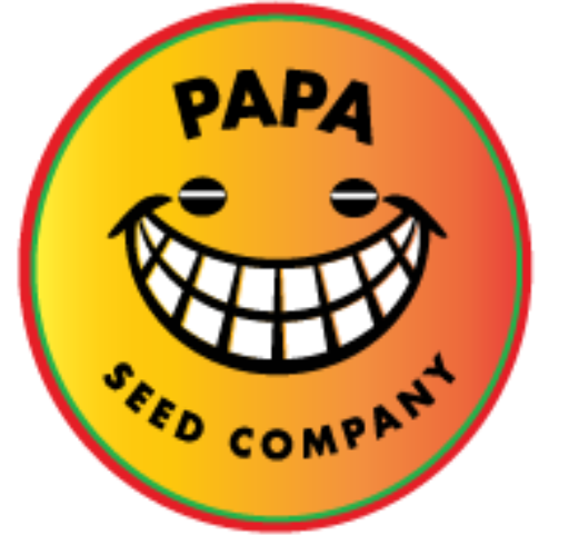                             Papa Seeds