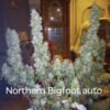 Northern Bigfoot Auto Fem ( 4 Seeds)